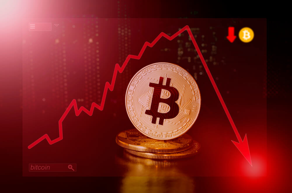 Idegen arrives at public stores with impulse while cryptocurrency prices collapse