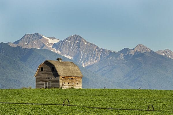 Representatives of the House of Representatives of Montana reject Bitcoin Reserve Law Project