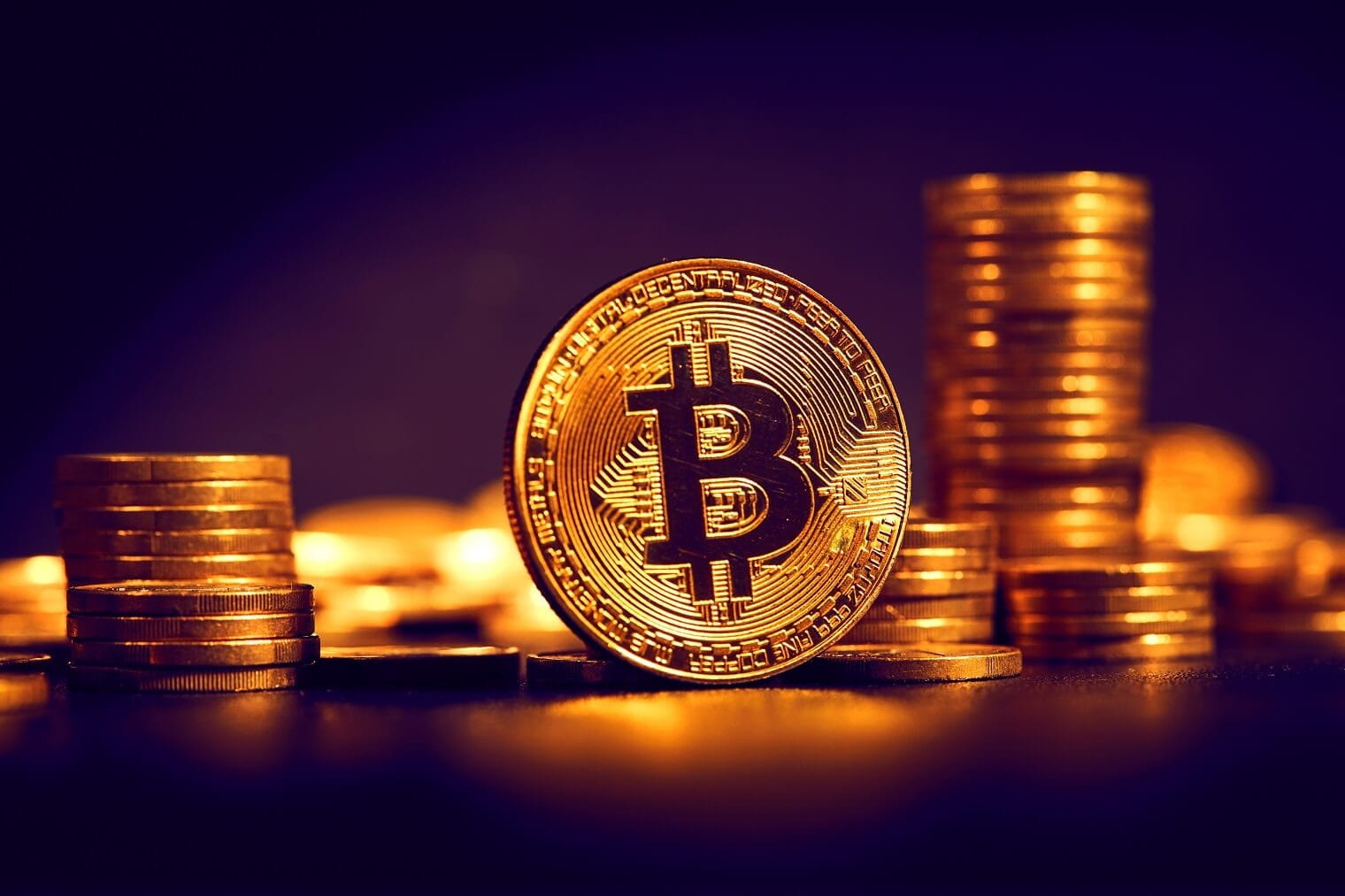 Dogizen prepares to quote on the exchanges while investors deviate their attention from the main cryptocurrencies