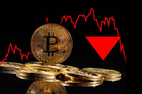 Bitcoin Pepe Prospera while risk aversion harms Bitcoin and Dogecoin