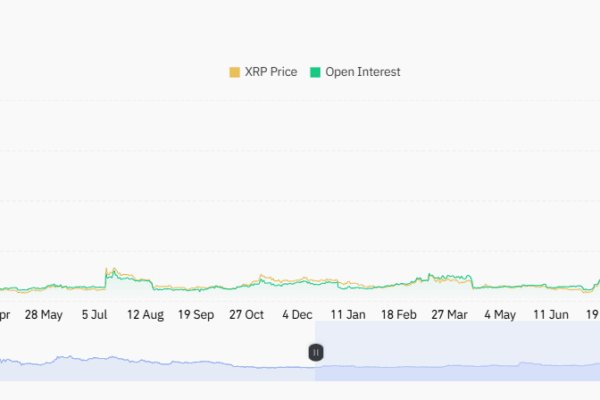 Bitcoin Pepe could be a good purchase while investors expect the next XRP price movement