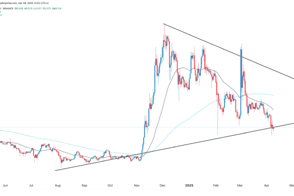 Bitcoin and Cardano prices stagger as this viral altcoin increases